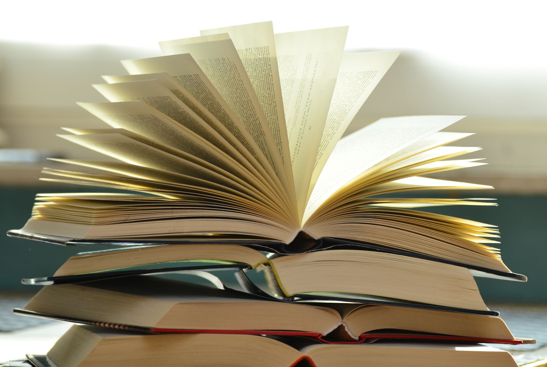 Open book pages close up